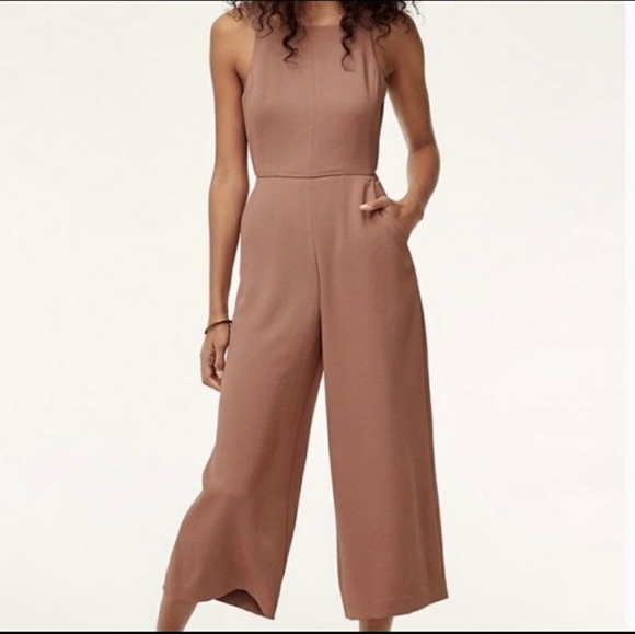 Aritzia Pants - NWT Aritzia Wilfred Ecoulement Jumpsuit Roebuck